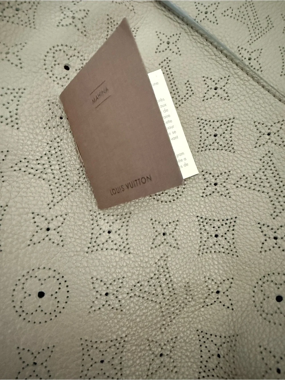 Louis Vuitton luxury bottega